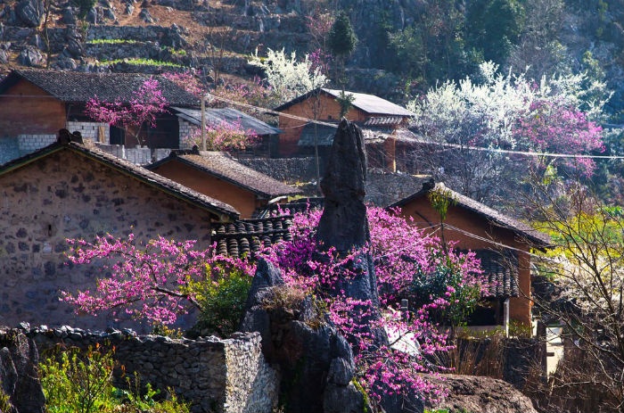 Cẩm nang du lịch Sapa