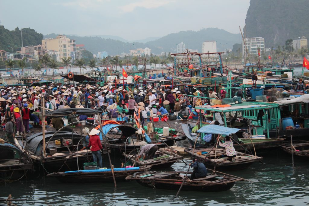 Kinh nghiệm mua sắm khi đi du lịch Hạ Long