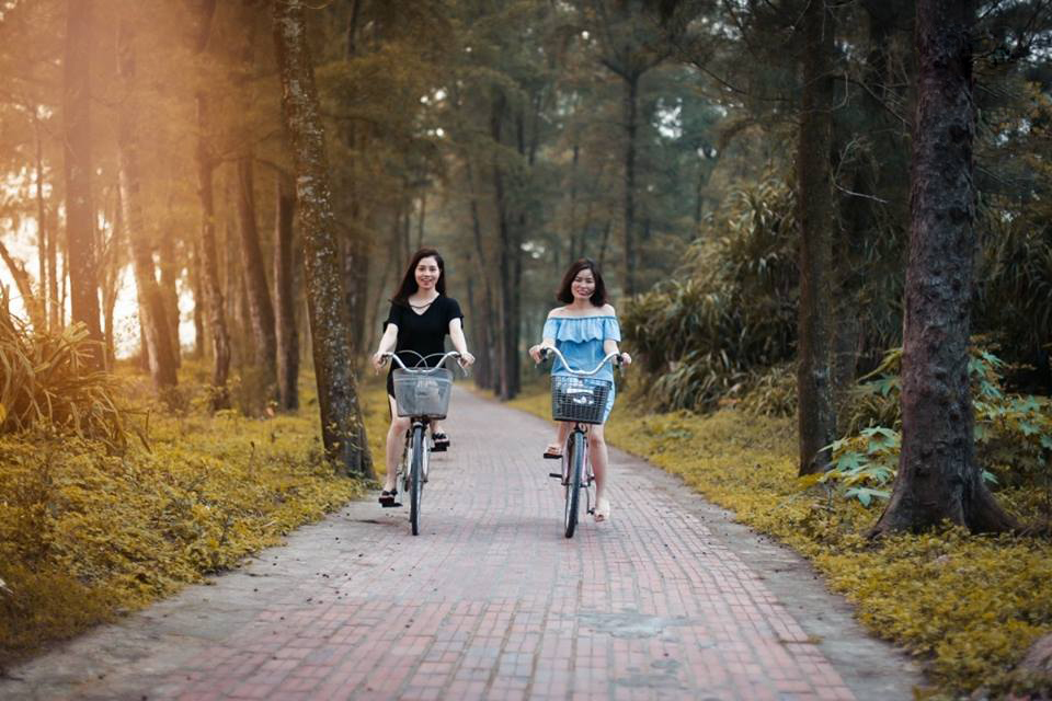 4 trải nghiệm không nên bỏ qua khi đi du lịch Cô Tô