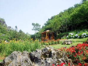 Những điểm đến không nên bỏ qua khi đi du lịch Sapa