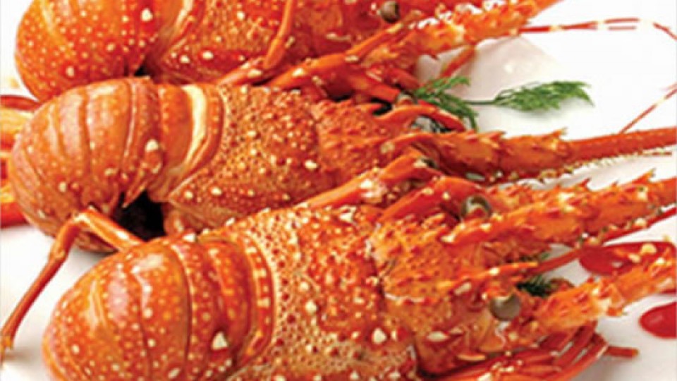 Kinh nghiệm du lịch Hạ Long mới nhất