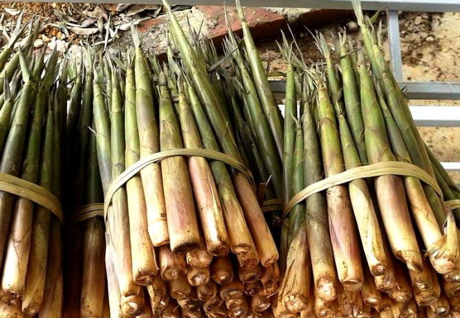 Bí quyết chọn đặc sản Sapa khi đi du lịch Sapa theo tháng