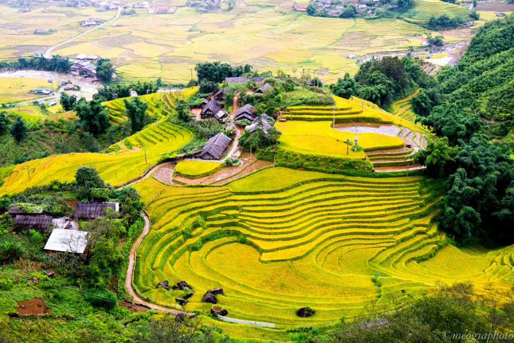 Có nên đi du lịch Sapa vào tháng 9 ? Du lịch Sapa mùa nào đẹp nhất