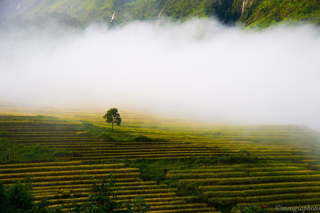 Du lịch Sapa tháng 10 để cảm nhận cung đường Sapa mùa thu
