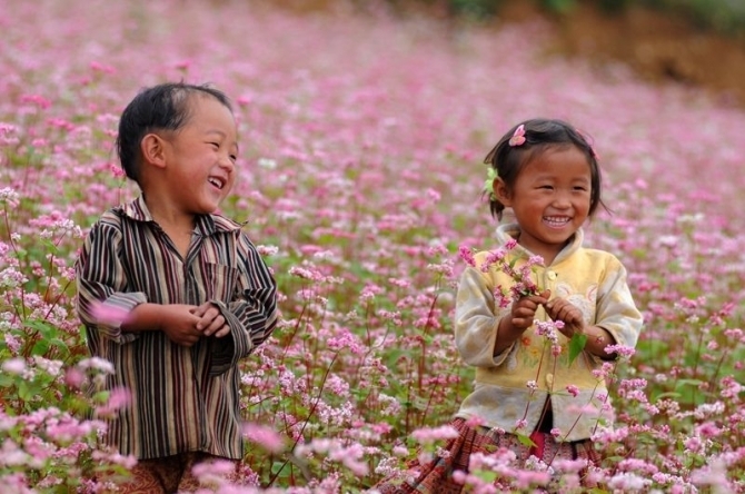 Tháng 10 rủ nhau lên lên Hà Giang ngắm hoa tam giác mạch