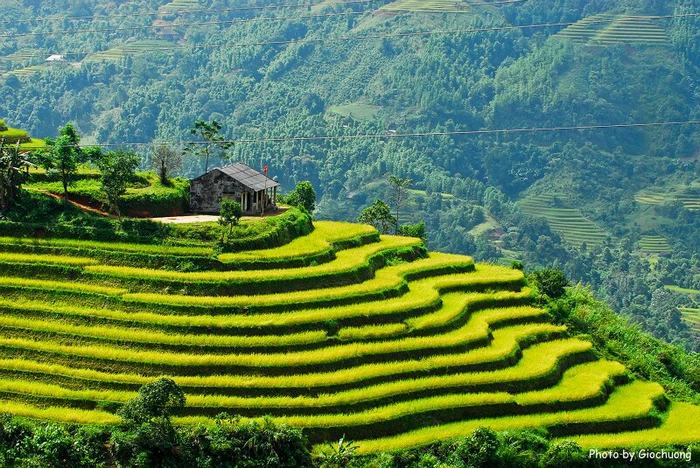Kinh nghiệm du lịch Sapa 2 ngày 1 đêm