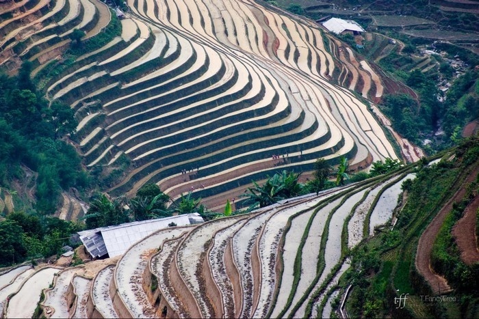 Hà Giang du lịch mùa nào đẹp nhất-Kinh nghiệm du lịch Hà Giang