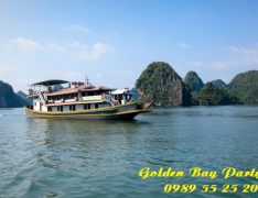 Golden Bay Party Cruise