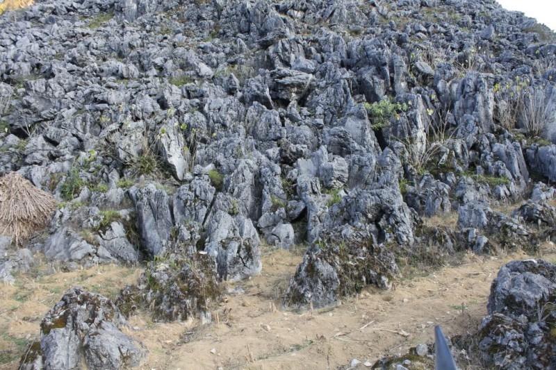 Kinh nghiệm du lịch Hà Giang 2 ngày 1 đêm cực chi tiết