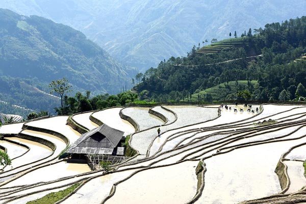Chiêm ngưỡng ruộng bậc thang Hà Giang
