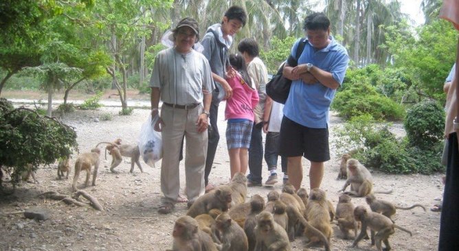 kinh nghiệm du lịch Cát Bà