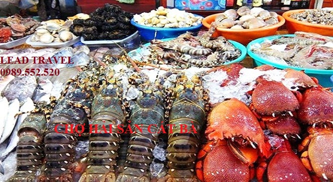 Chợ hải sản Cát Bà