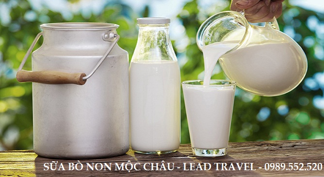 Đặc sản Mộc Châu