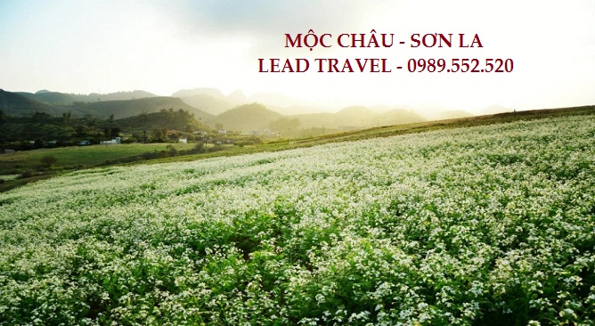 Du lịch Mộc Châu tháng 10