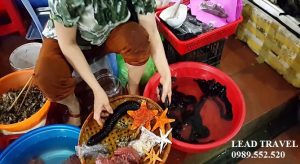 du lịch hải phòng