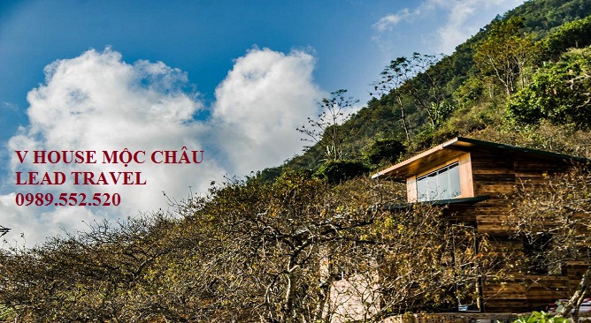 V House Mộc Châu