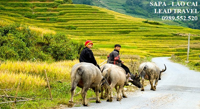 phượt Sapa