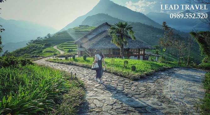 sapa