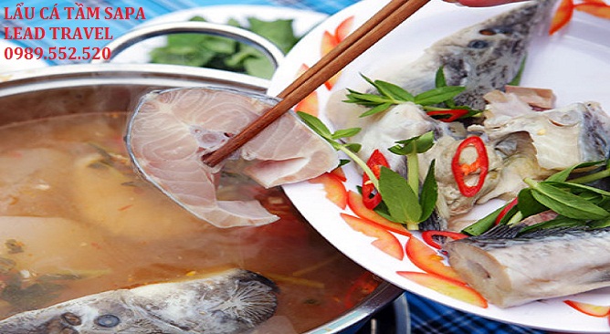 Lẩu cá tầm Sapa
