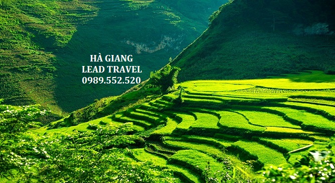 tour du lịch Hà Giang 3 ngày 2 đêm