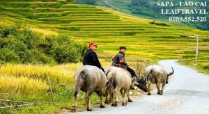 tour Sapa 2 ngày 3 đêm