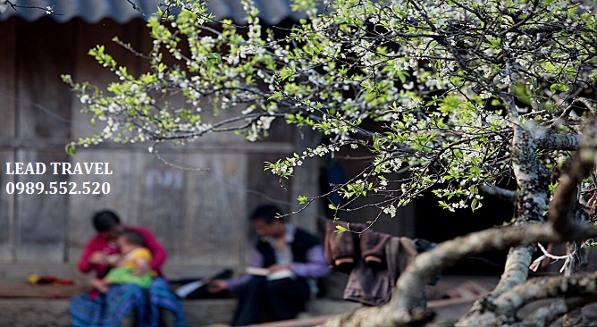 du lịch Sapa tháng 2