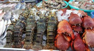 Du lịch Hải Tiến