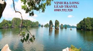 địa điểm vui chơi ở Hạ Long