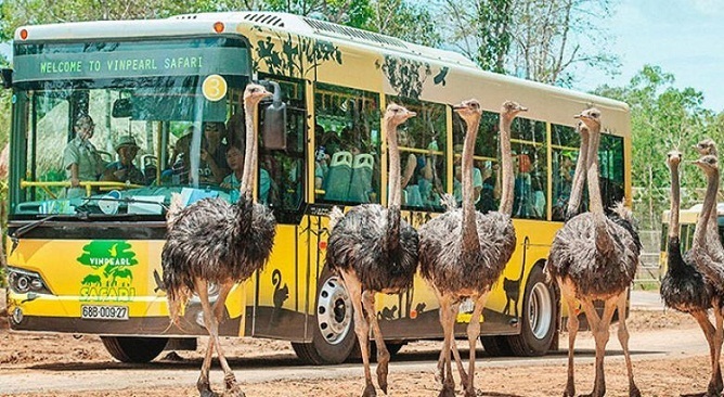 kinh nghiệm đi Safari Phú Quốc