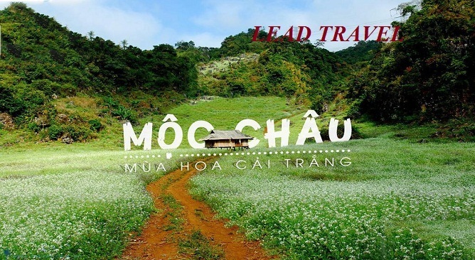 du lịch Mộc Châu