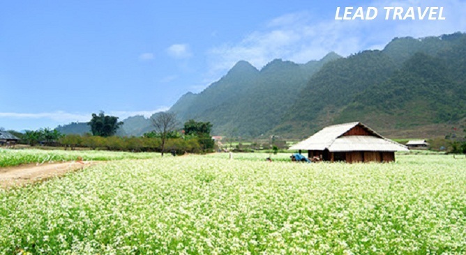 cẩm nang du lịch mộc châu