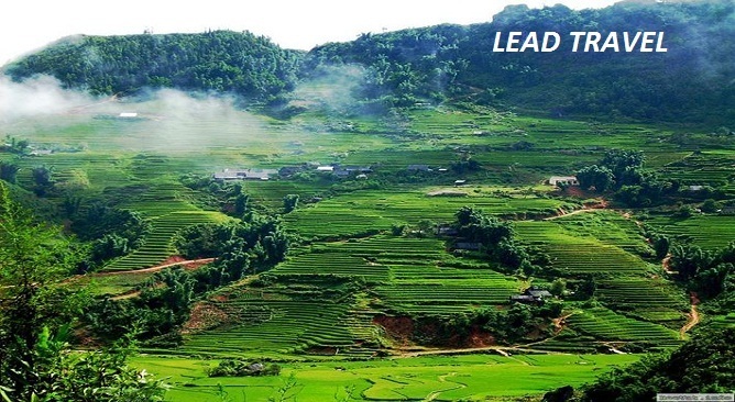 cao nguyên mộc châu