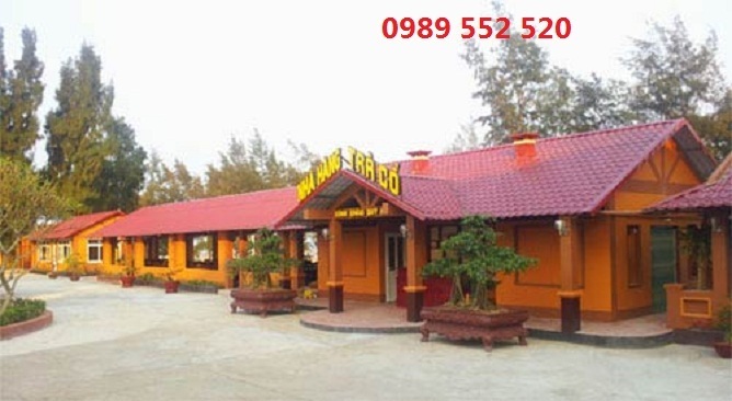khách sạn tại trà cổ quảng ninh