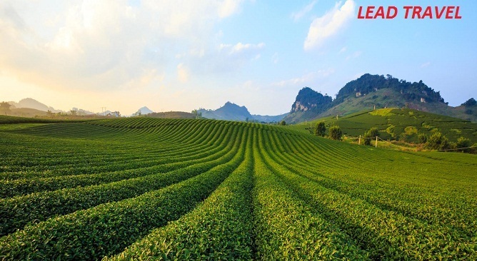 mai châu mộc châu