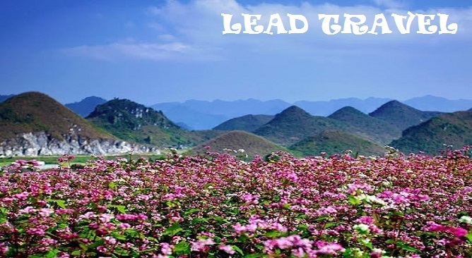 du lịch tam giác mạch
