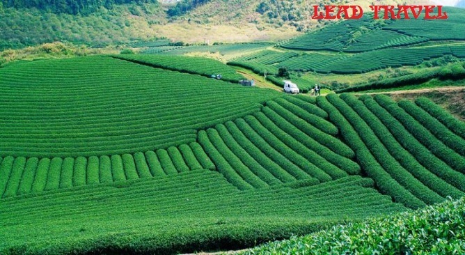 những điểm du lịch ở mộc châu