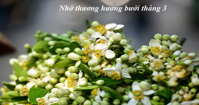 du lịch hà nội tháng 3