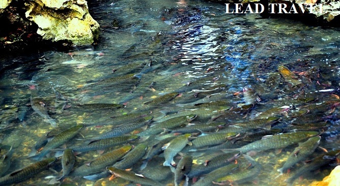 các điểm du lịch thanh hóa