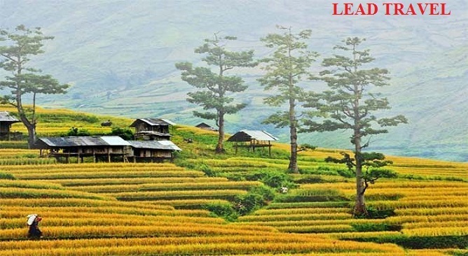 bản lác hòa bình
