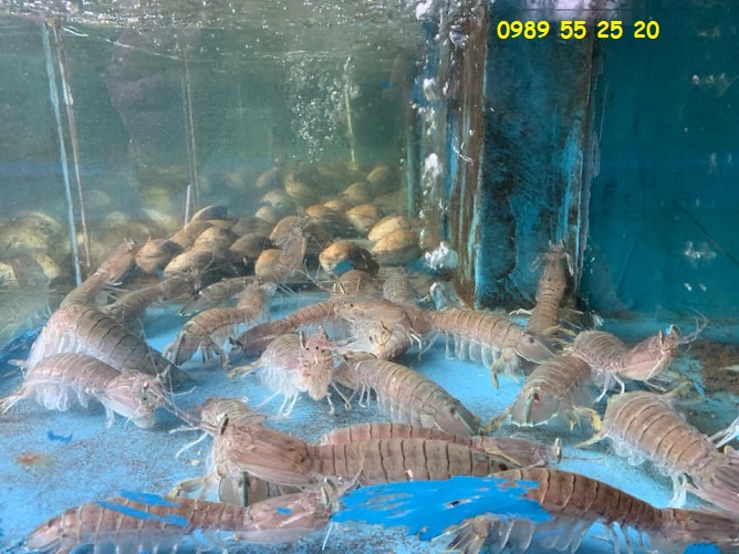 nha hang hong hanh 3