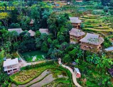 jungle lodge pu luong