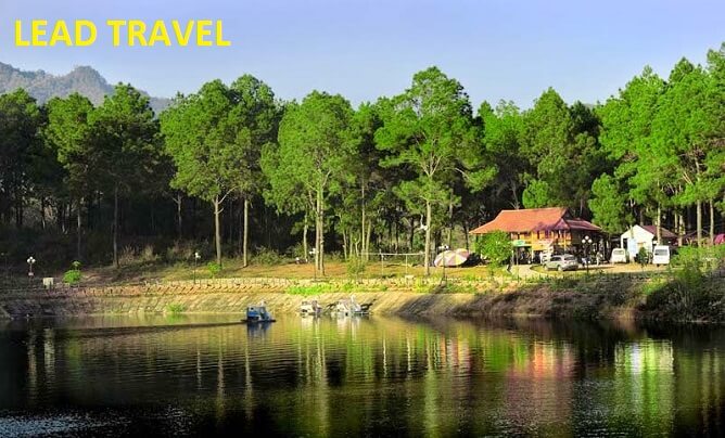 Du lịch Mộc Châu rừng thông bản áng