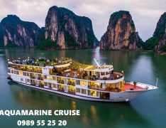 aquamarine cruise