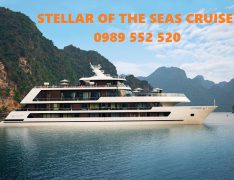 stellar of the seas cruise