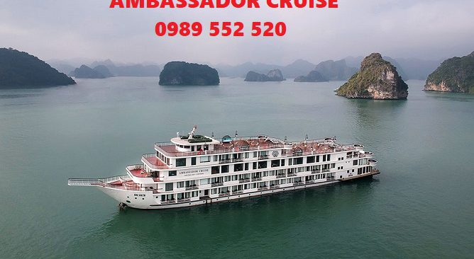 ambassador cruise