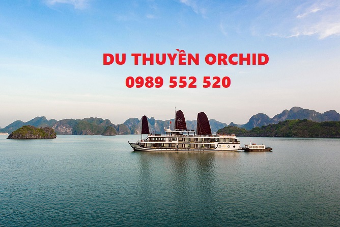du thuyền orchid