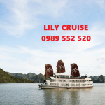 Lily Cruise Ưu Đãi Hấp Dẫn Du thuyền Hạ Long 2N1Đ