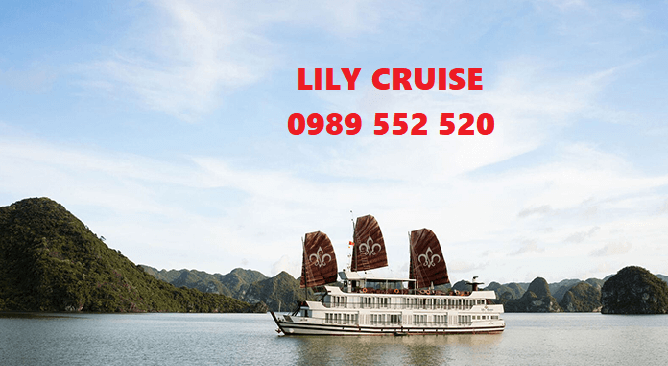 lily cruise