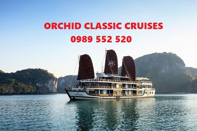 orchid classic cruises