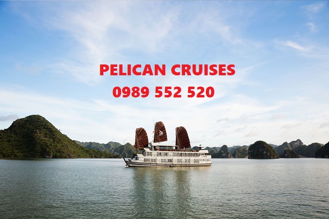 pelican cruises